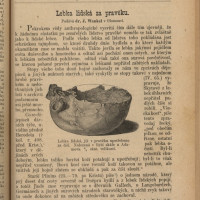 Časopis Muzejního spolku olomuckého, roč. II, Olomouc, 1885, s. 158 (titulní strana č. 8).