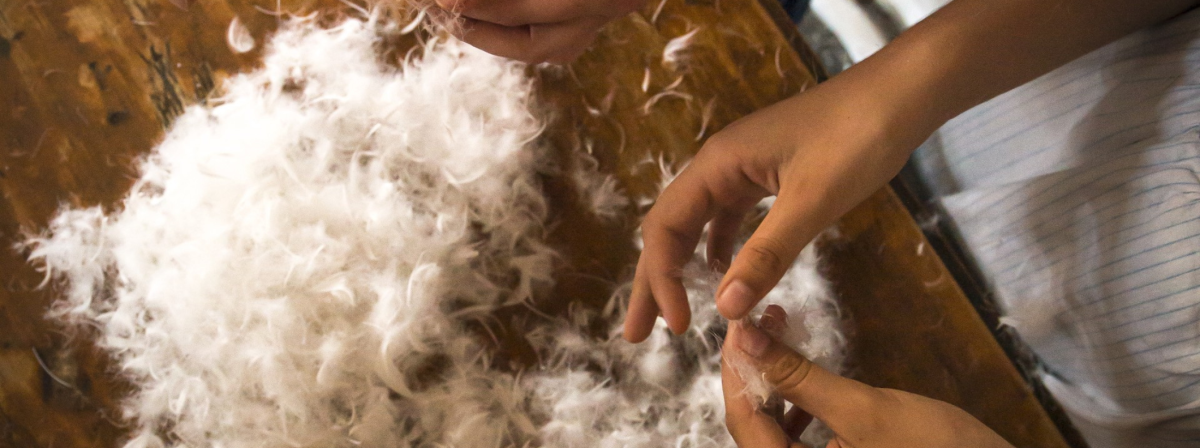 Listopad v muzeu: design, šperky, historie i tradice