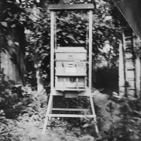 Fotografie Mrštíkova speciálně upraveného úlu ‚Amerikán‘ s francouzskou předsíňkou v zahradě jejich rodného domu v Divákách. Počátek 20. století