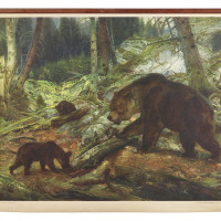 Medvěd jeskynní - školní nástěnný obraz podle Z. Buriana, 1955, inv. č. Šk-727.