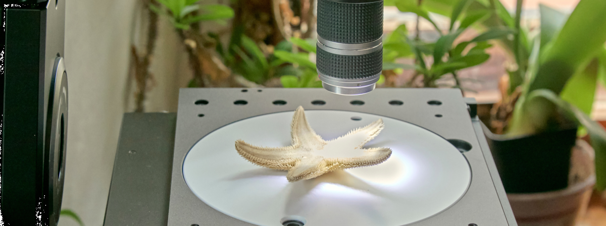 Digitální mikroskop přiblíží přírodní dědictví Moravy