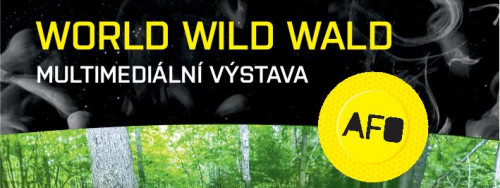 World Wild Wald