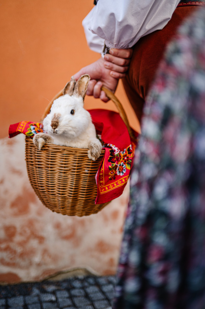 Řemeslný jarmark, 24.9.2025