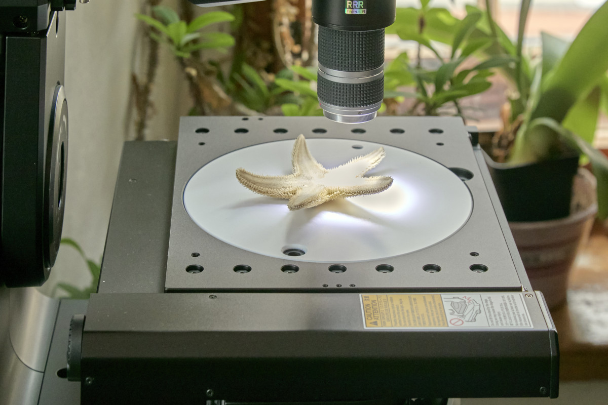 Digitální mikroskop, 4.11.2025