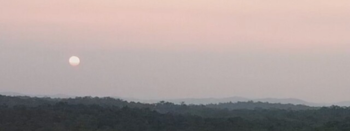 Co skrývá guatemalská džungle? Přijďte to zjistit na velké plátno