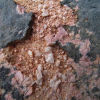 Adulár, Vernířovice, drúza růžových krystalů v dutině amfibolitu, foto P. Rozsíval