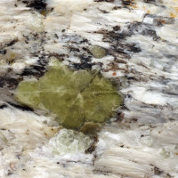 Chryzoberyl, Maršíkov, zelenavě žlutý krystal v sillimanitickém pegmatitu, foto P. Rozsíval