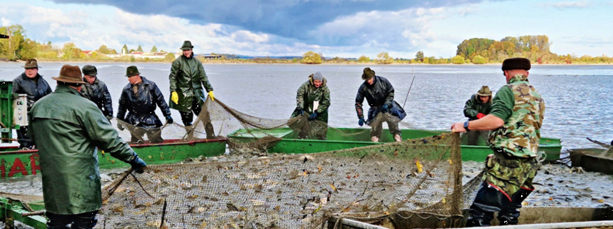 Civilizace očima fotografů Vlastivědné společnosti muzejní
