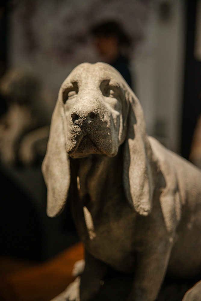 Odvěké společenství, vernisáž, 9.4.2025