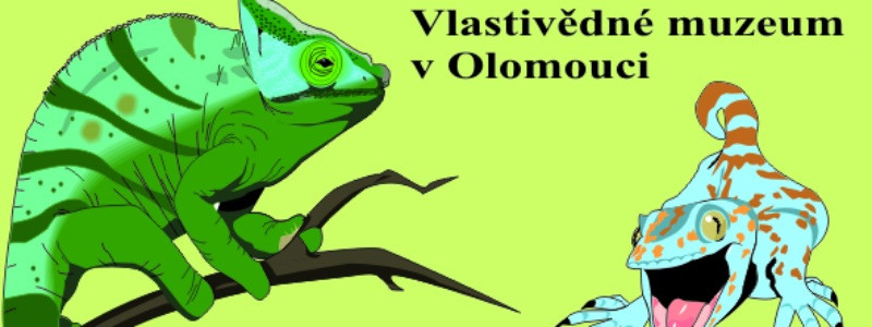 Výstava terarijních zvířat