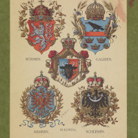 Oesterreichisch-ungarische Wappen, Wien, před rokem 1900 (?), Tafel 8 (Čechy, Halič, Bukovina, Morava, Slezsko).