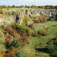 Státní lom v Čelechovicích na Hané je unikátní lokalitou, kde se prolíná ochrana paleontologického naleziště s ochranou ohrožených rostlin