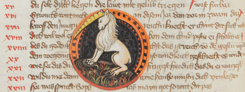Skrytá krása: Středověké rukopisy z našich sbírek
