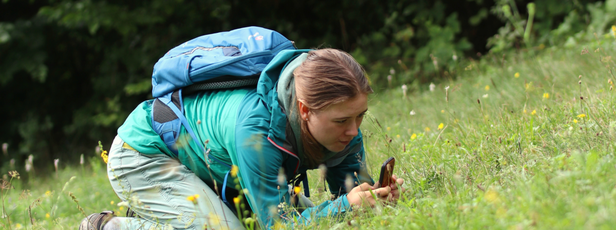 City Nature Challenge ukázala bohatství olomoucké přírody