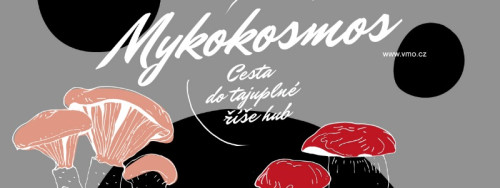 Mykokosmos / Cesta do tajuplné říše hub